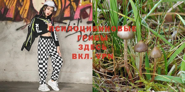 МДПВ Зерноград