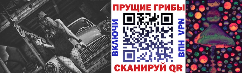 Купить где  Каменногорск  Псилоцибиновые грибы Cubensis 