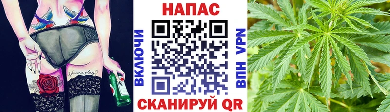 Купить закладки  Каменногорск  Бошки марихуана THC 21% 